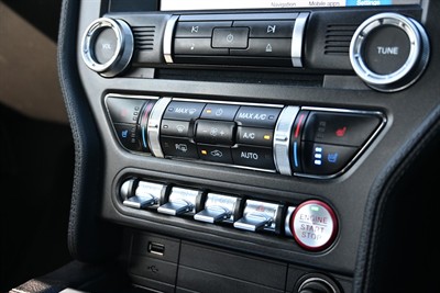 2019 Ford Mustang - Thumbnail