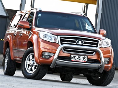 2019 GWM Steed