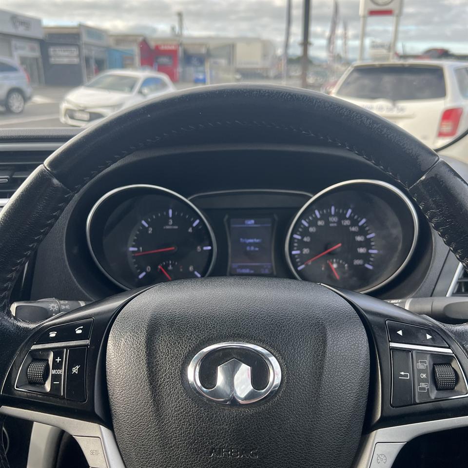 2019 GWM Steed