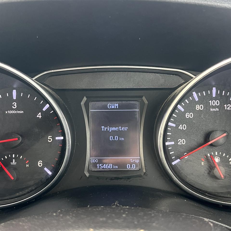 2019 GWM Steed