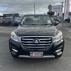 2019 GWM Steed - Thumbnail