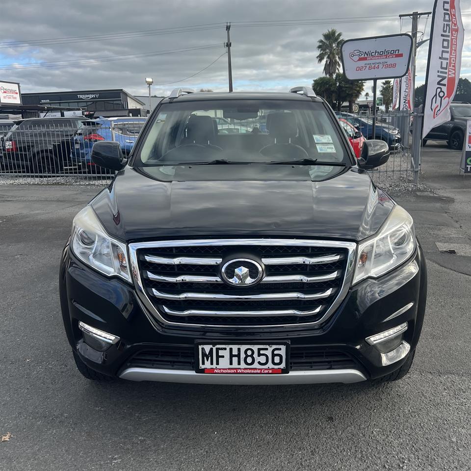 2019 GWM Steed